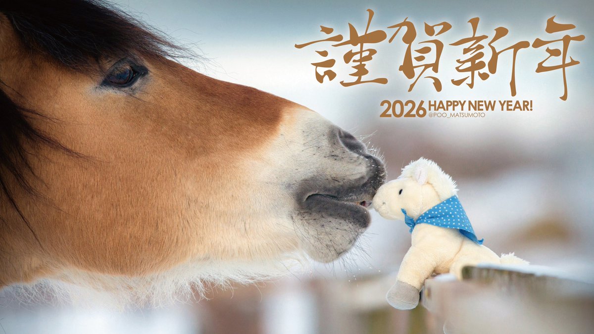 謹賀新年　ForbiddenNewYear プロモ 即日発送可能‼️ 禁賀新年 Forbidden New Year 禁賀新年 プロモ 関係者 Forbidden New