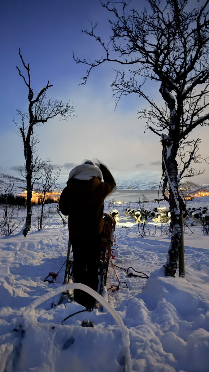 أفنان tweet media