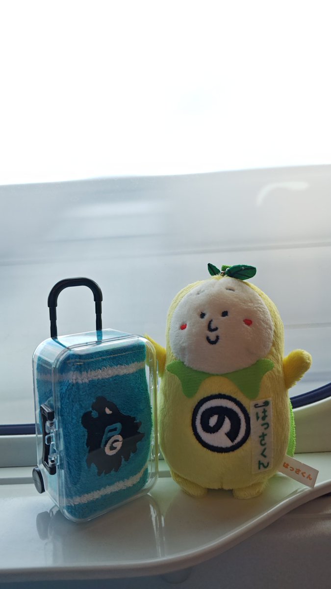 しらたまい🍍🍎🍎 (@x_syrkttmsij_4) / Posts / X