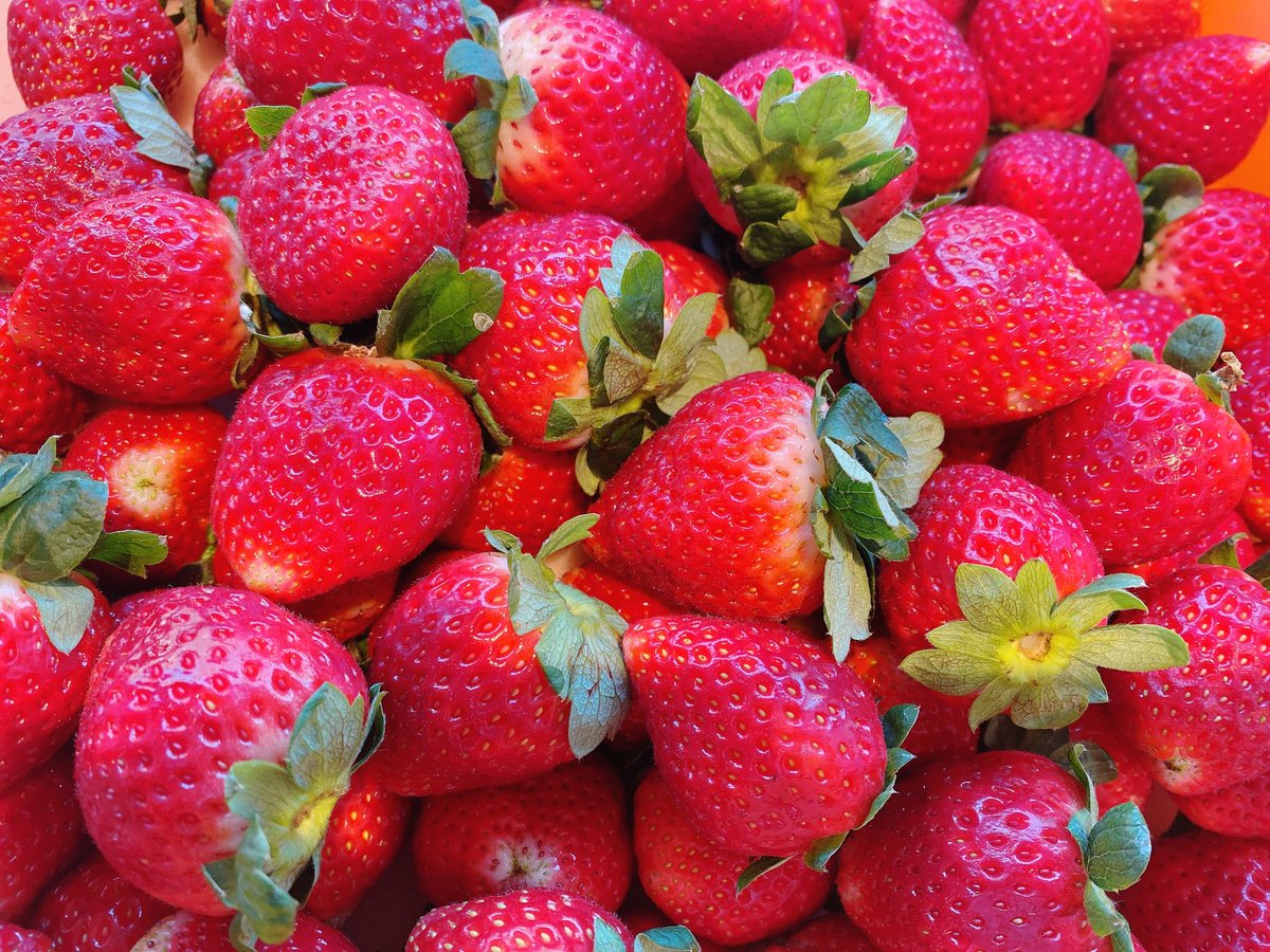 新年あけましておめでとうございます🎍🐴

昨年はたくさんのご来店ありがとうございました😌
2026年も、笑顔になれるスイーツとお料理をお届けします🍓
本年もいちごの里カフェ日光店をよろしくお願いいたします。