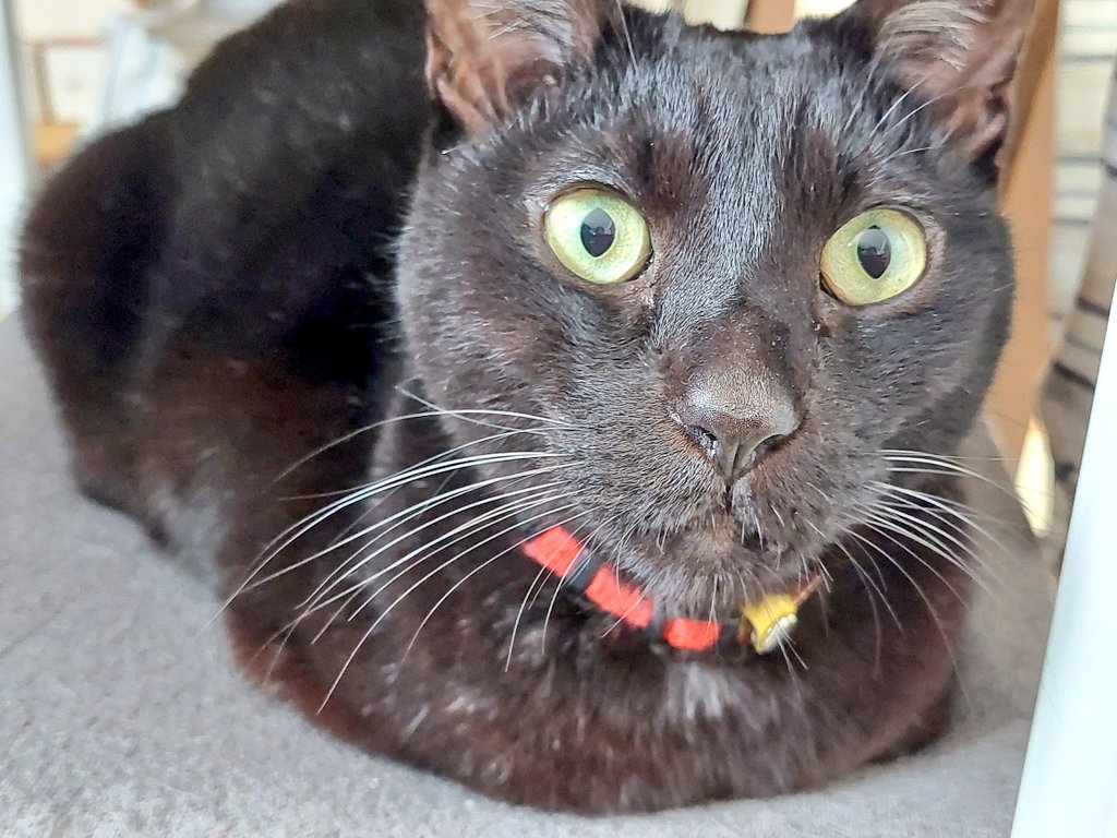 まりもページ 🟢 marimo たかはしまりも (@mari_hashi10) • Instagram photos and videos