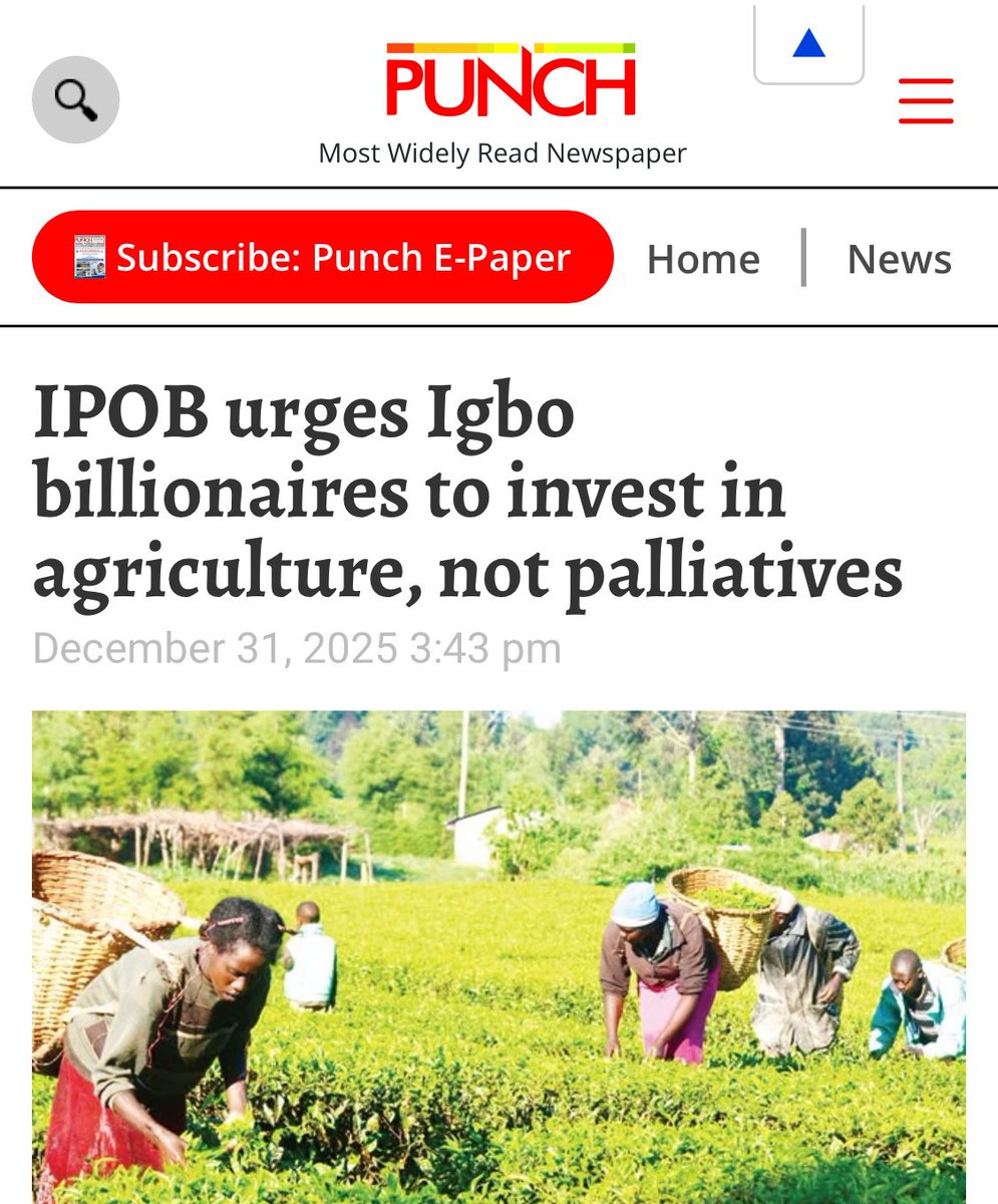 ChinasaNworu's tweet photo. #IPOB calls on affluent Igbo individuals to make a significant Igbo agriculture  investment for food sufficiency, moving from palliatives to mechanised farming . 
 https://t.co/gUNYzYBYet https://t.co/1gMRd5r8Lh
