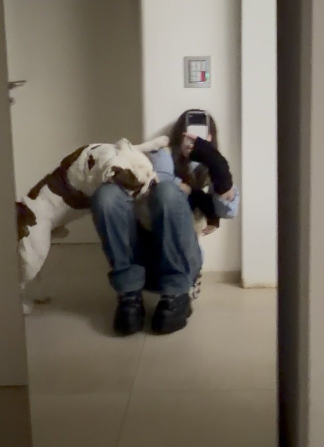 murder_is_art's tweet photo. Всё,с ним нереально сделать cute doggo фотографию,это просто машина для убийств. Я сдаюсь. https://t.co/2mxp2O8doR