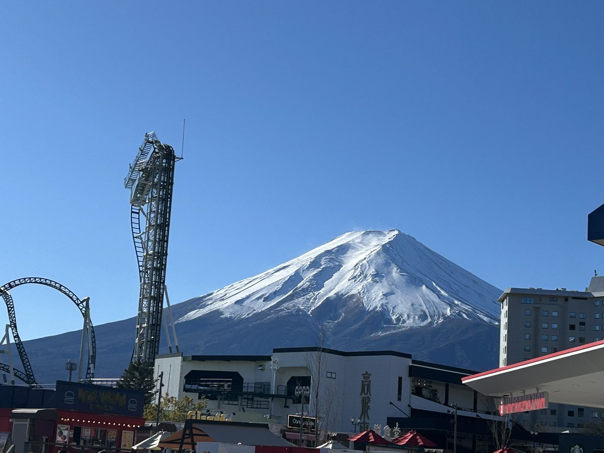 そらまめ tweet media