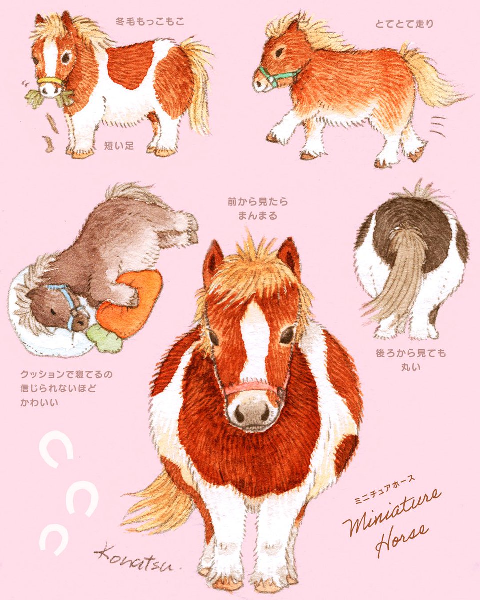 2026年もよろしくお願いします🎉

最近はミニチュアホースが可愛くて可愛くて仕方ないので、北海道のおひさま牧場の動画ばかり見ちゃう
いつか牧場に行ってミニチュアホースに会うのが夢です🐎