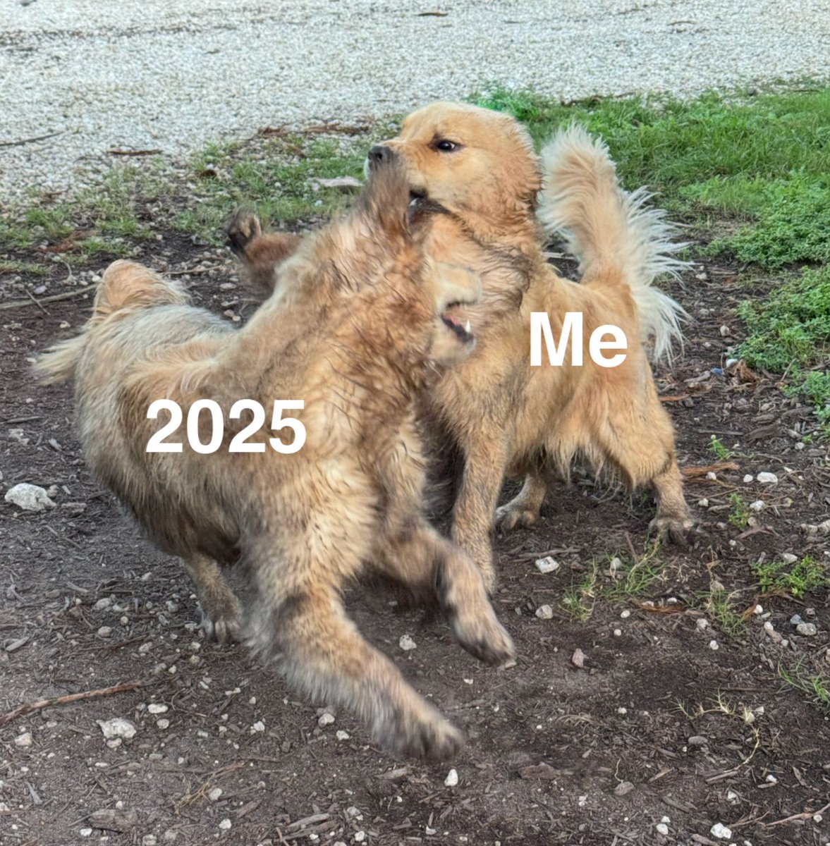 TheGoldenRatio4's tweet photo. We're almost done... https://t.co/AxOTB5rexi