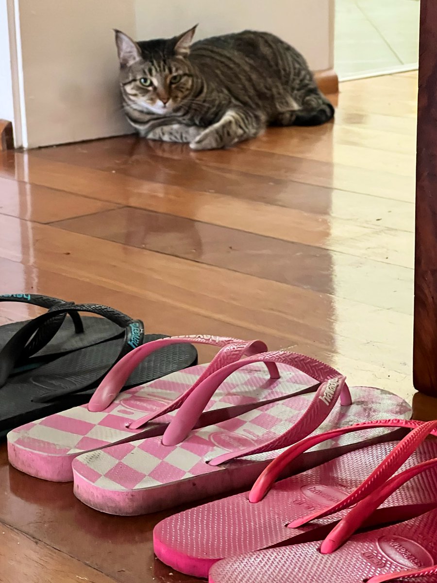 Dave Krantz tweet media