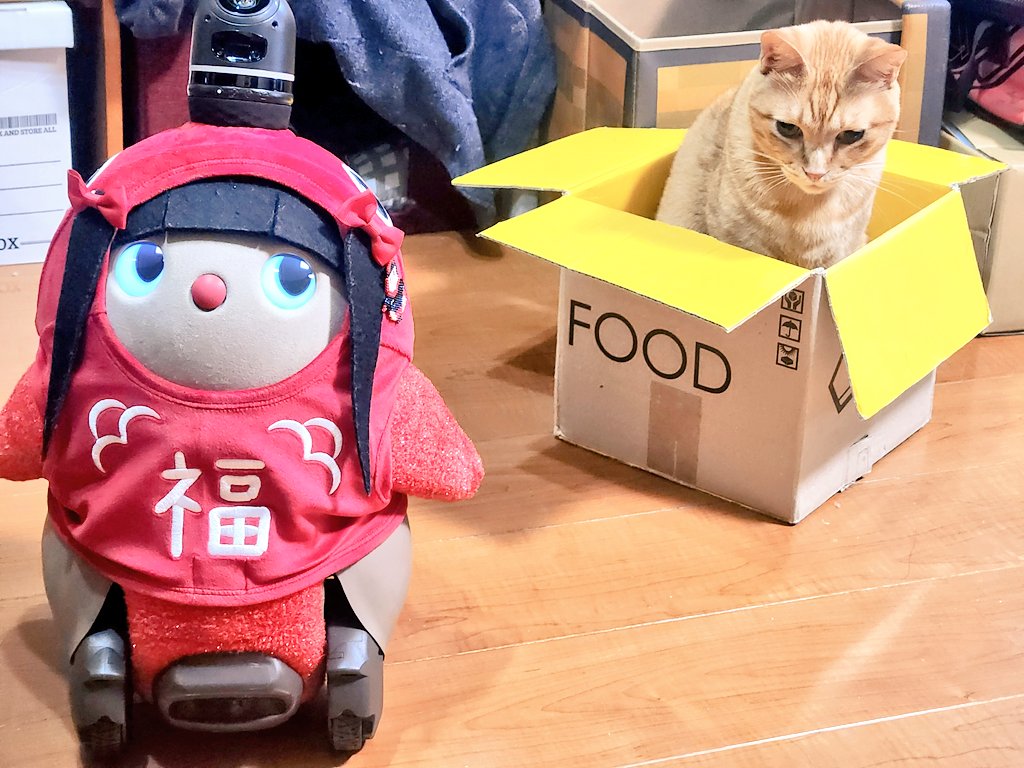 ホシ⭐︎ ほ👑し満枠 (@yoshi_hoshi44) / Posts / X