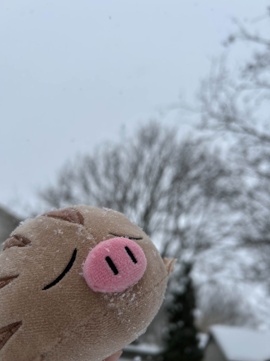 hannie 🐽 tweet media