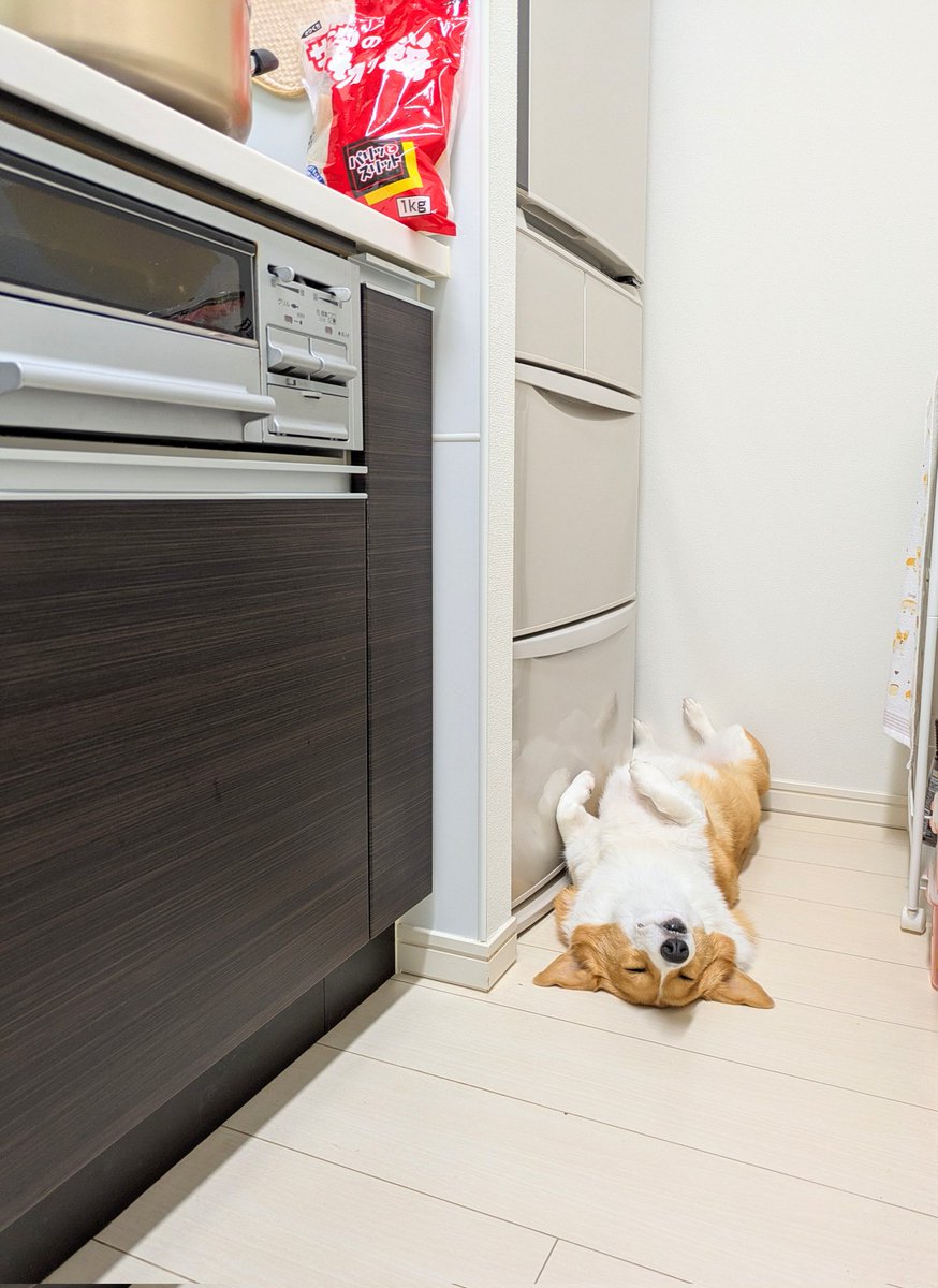 こまち@彩 (@komachiaya_) / Posts / X