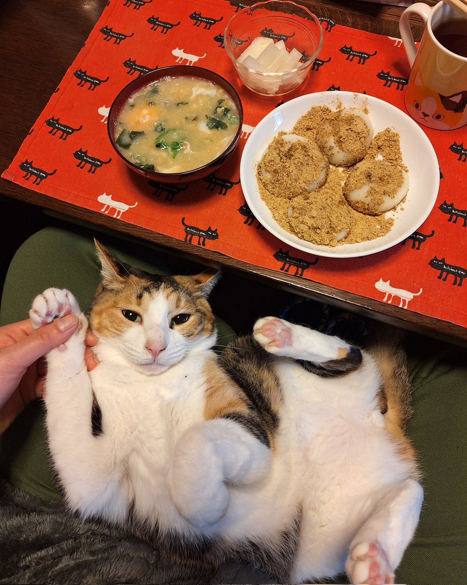 kawaii_nekoniko's tweet image. きな粉餅たべました