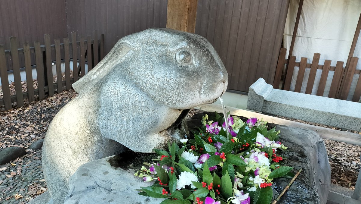 シェイド tweet media