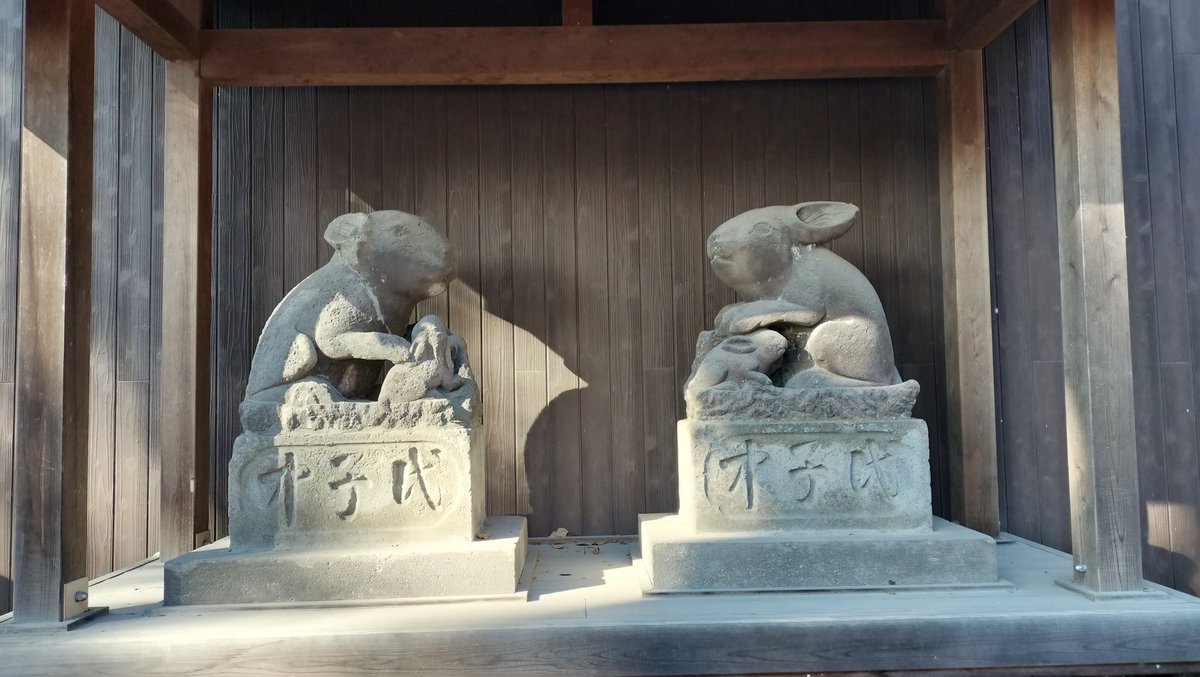 シェイド tweet media