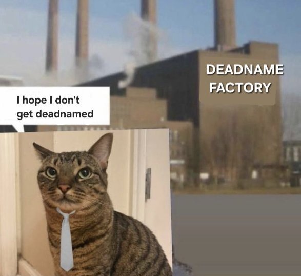 brunofobia's tweet image. passar data comemorativa em família é tipo