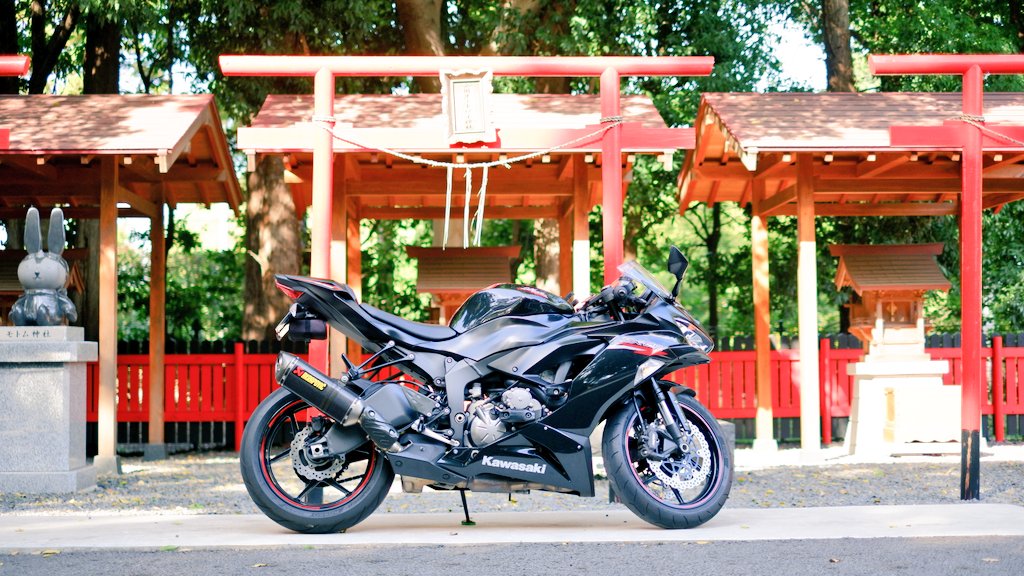 明けましておめでとうございます🌅 今年もどうぞ仲良くしろください