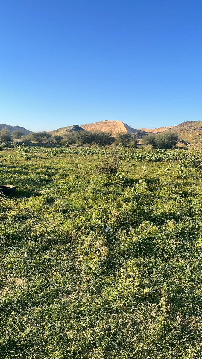 ᷂احمد | ΛΉMΣD tweet media