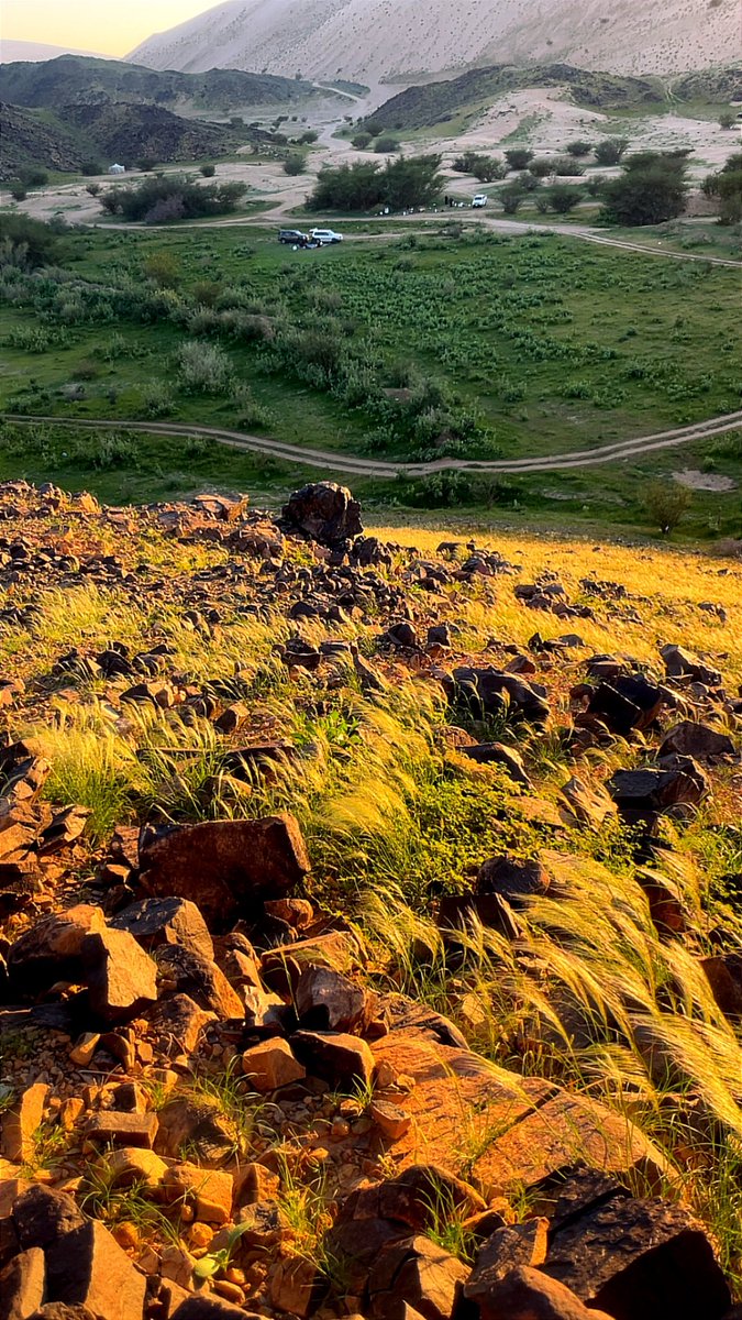 ᷂احمد | ΛΉMΣD tweet media