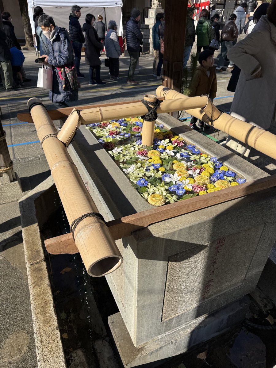 dynamic__cc's tweet image. 大吉だ‼️
今年も望んだものを叶えていく一年に✨

#牧野肇　#イベント　#両国　#音楽　#子育て