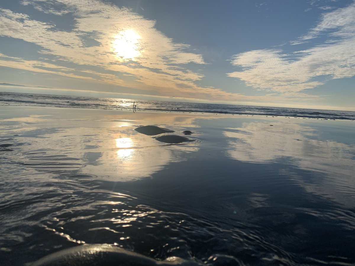 Wishing everyone a #peace filled year from the ever beautiful #WestCoast of #VancouverIsland #FrenchBeach  #HappyNewYear2026