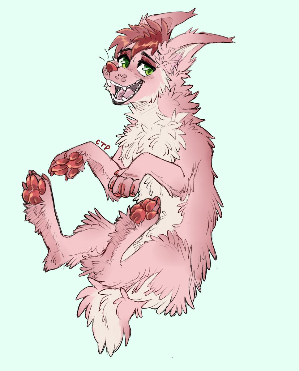 KitCatPanthers's tweet image. Redraw 2025 / 2026 I took a while for this one lmao