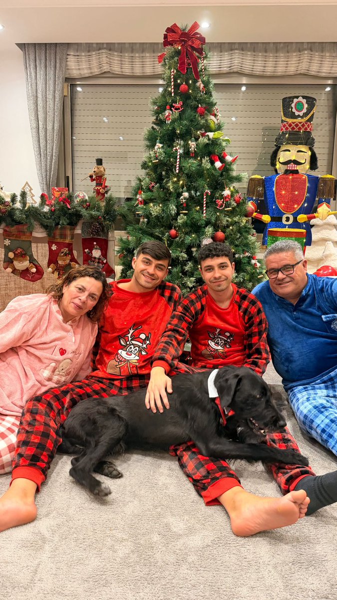 🎄🎅🏻❤️