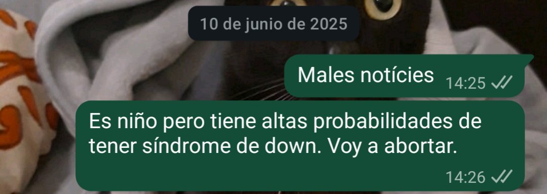 Eleone Bibliotequejada tweet media