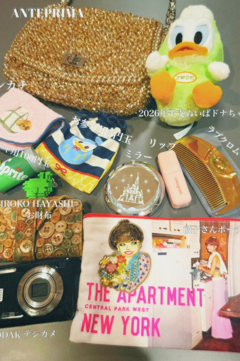 🎍🌅 What's in My Bag 2026 ✨ 新年なのでキラキラさせたくて