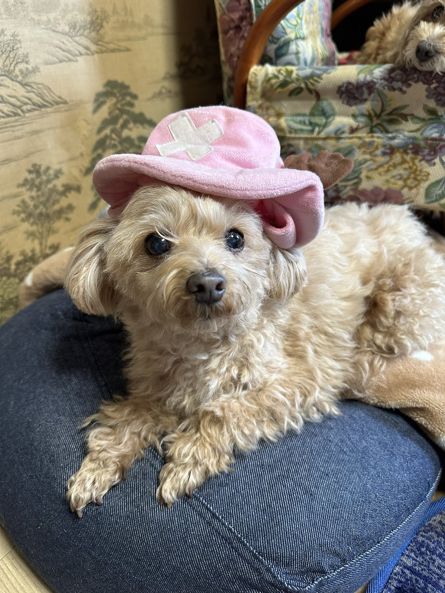 明けましておめでとう！！
今年もよろしくお願いします🙇