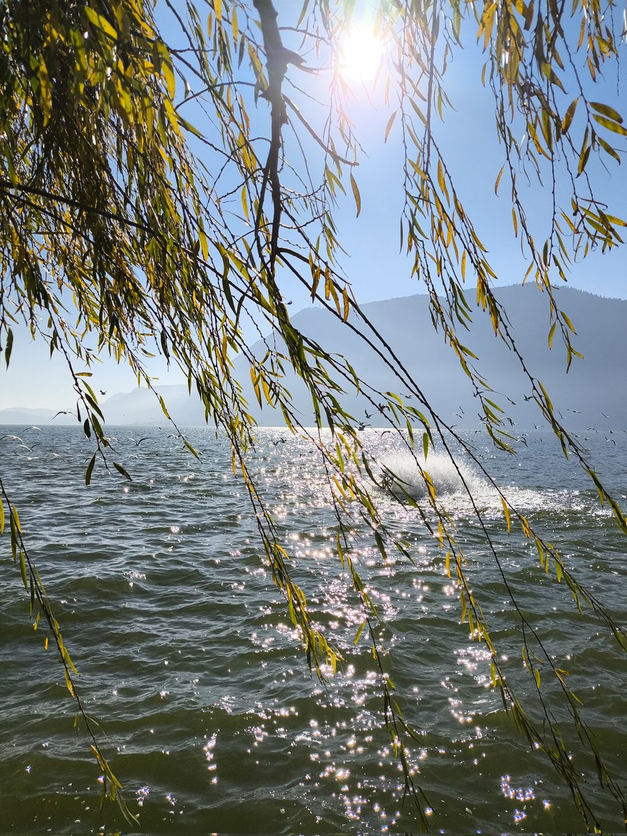 好嘟嘟三火牌灭火器🧯 tweet media