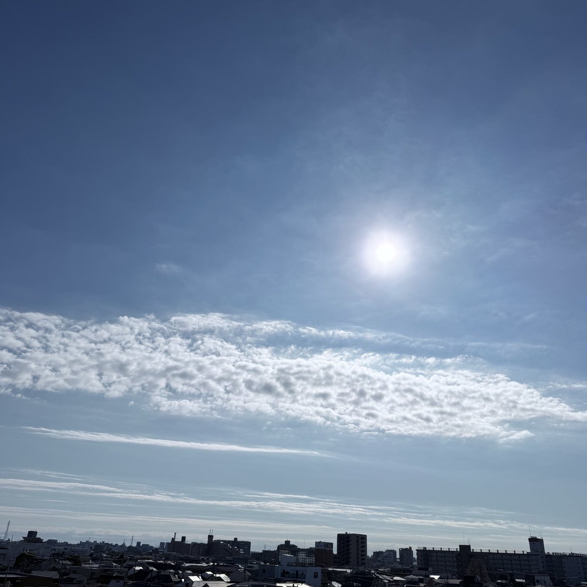 ルノ。 tweet media