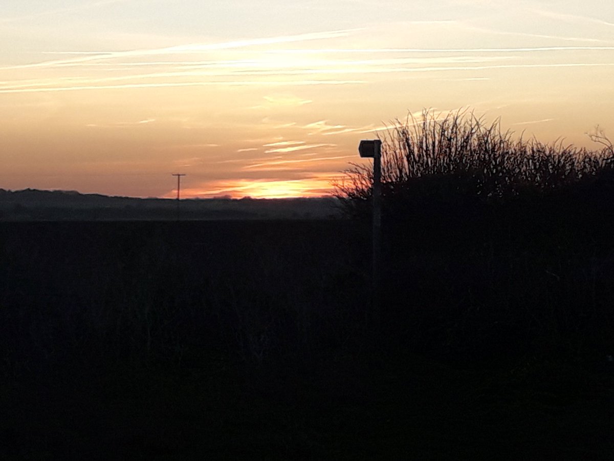 John Edwards tweet media