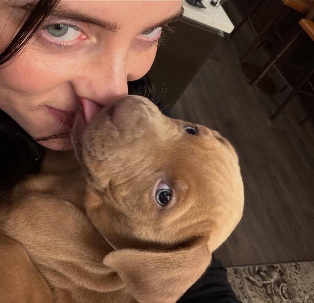 Becca4TV's tweet image. They’re having a puppy eye contest