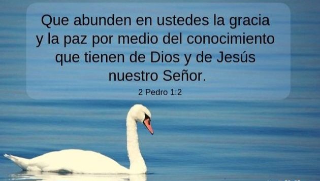 1964_perez's tweet photo. https://t.co/F1KMidmBah