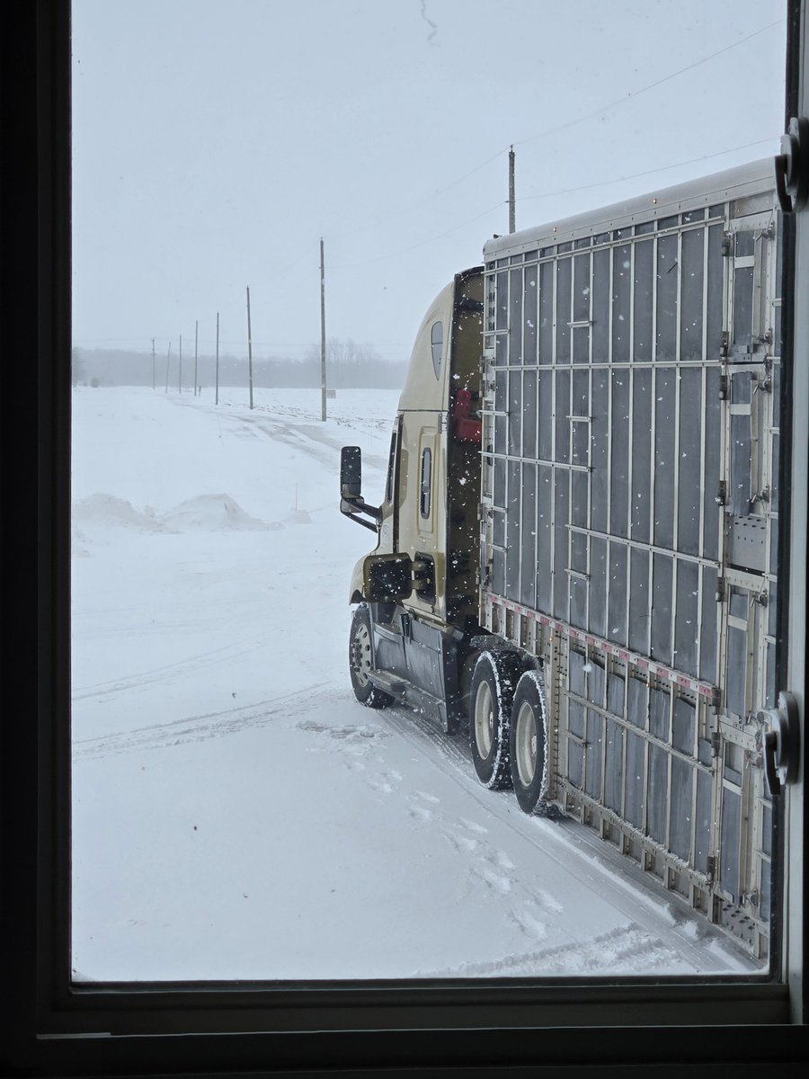 KristiaanSol's tweet photo. @wilkjef @MdMcLean1 This load left for Brandon MB today if roads are open there moving https://t.co/Fj9A3HLl73