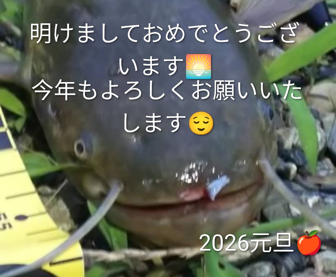 りんごのパパ (@ringonopapa) / Posts / X