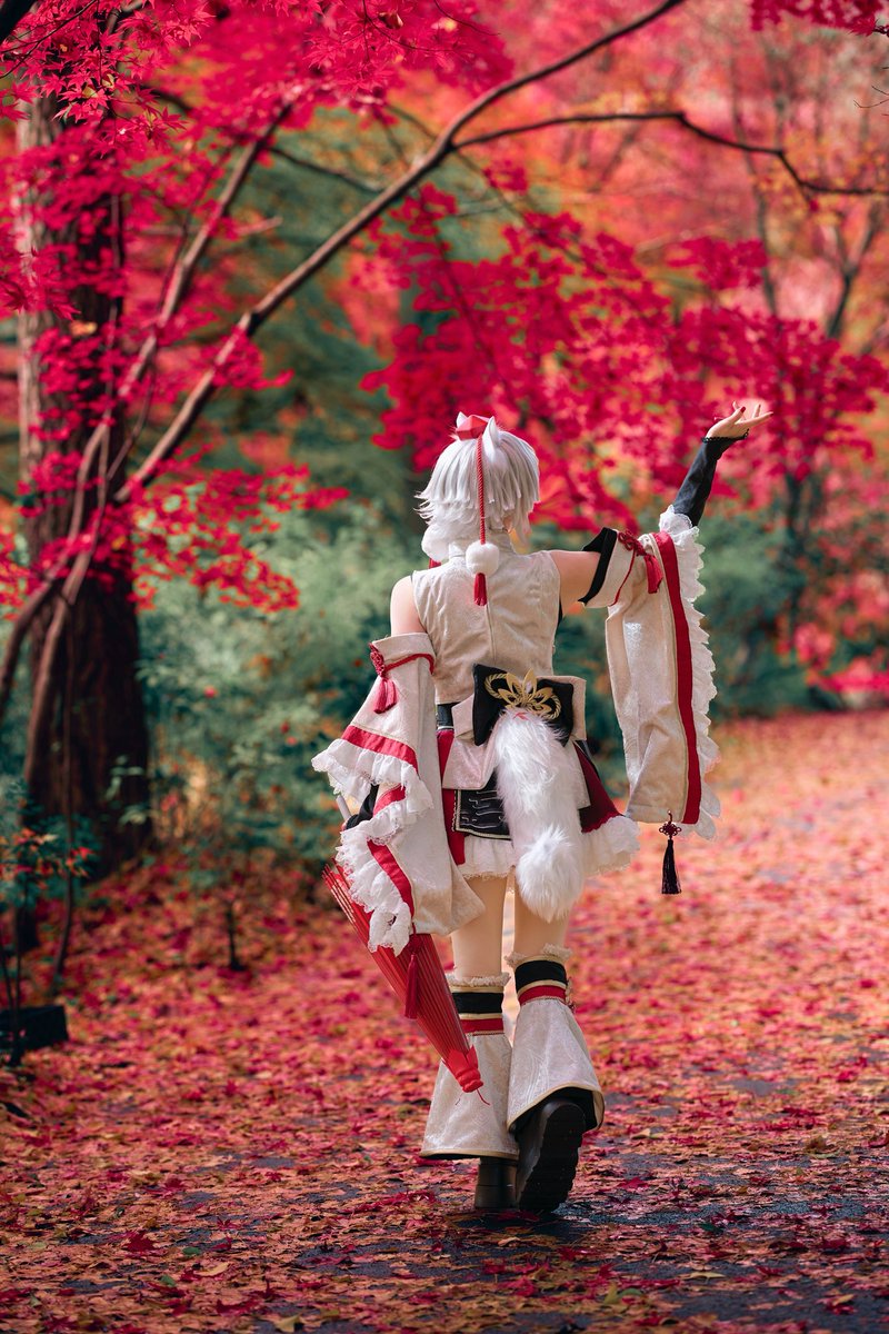 あんころもっち tweet media