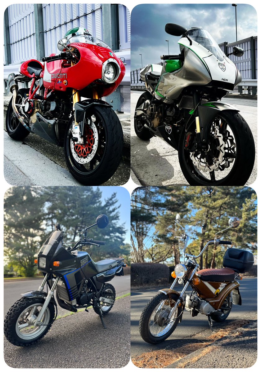 AC_ducatist's tweet photo. 名前 : MasMont（ますもん）
性別  : 🙋‍♂️
年齢：50代初老
宝物：お孫ちゃん
愛犬：ビションフリーゼ（♂）
愛車：MH900e Millona TDR80 Zippy50 A5SB R2S

【2026年の抱負】
人生を愉しむ・更なる倹約に努める

#DUCATI
#NCR 
#ビションフリーゼ https://t.co/nSuCy87GEp