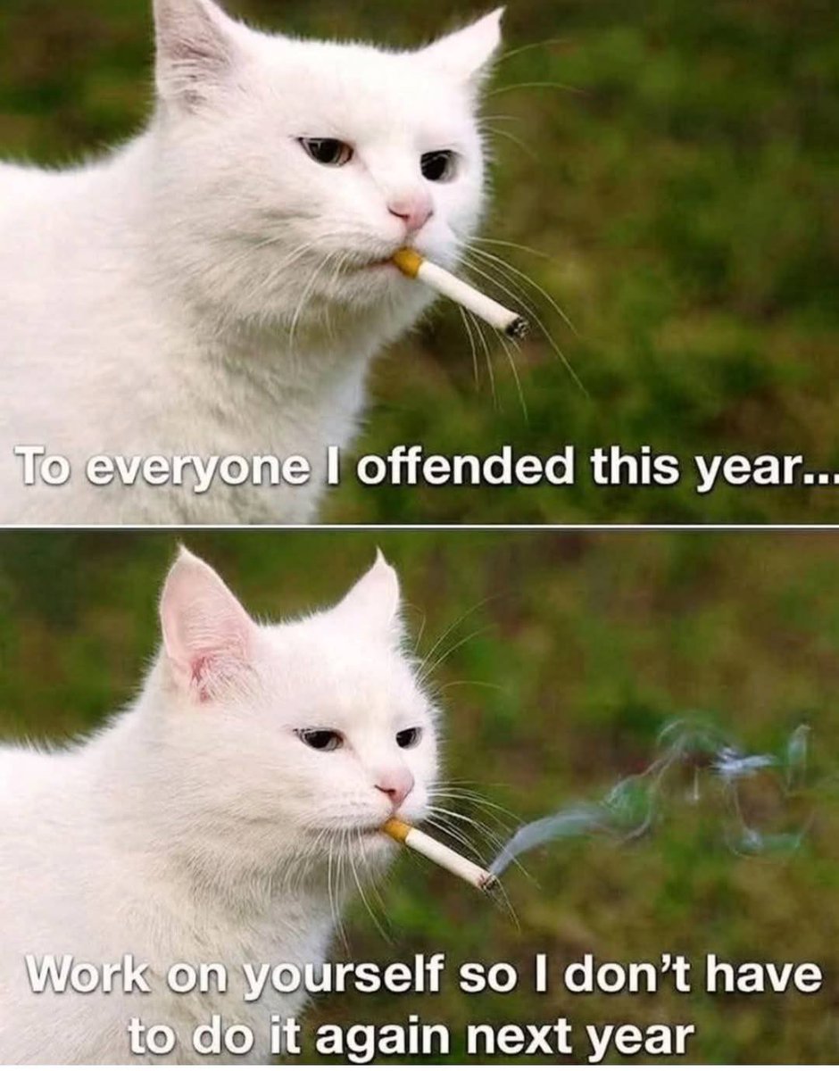 🔞🇨🇺 Narga Cat tweet media