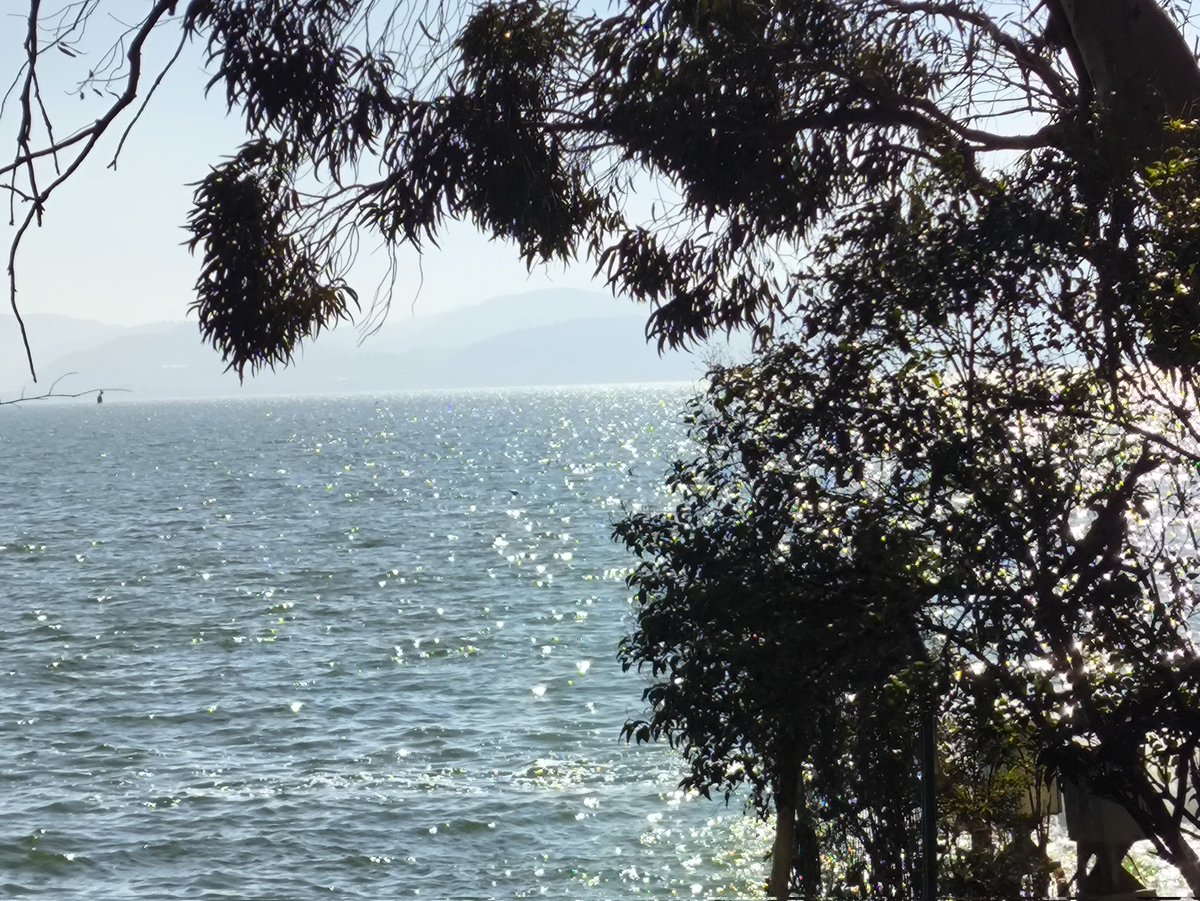 ThreeFirecards's tweet image. 就这样美丽的12.10的下午^^