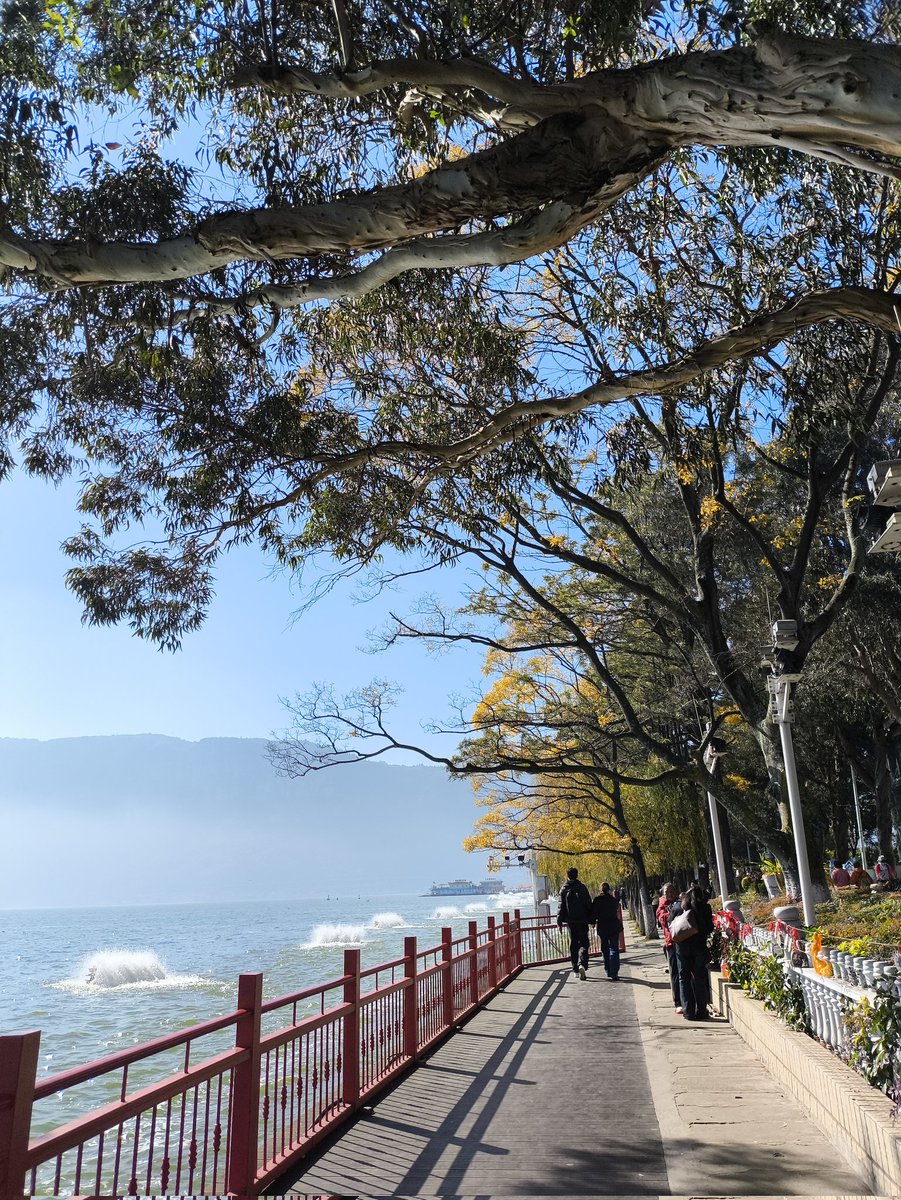 ThreeFirecards's tweet image. 就这样美丽的12.10的下午^^