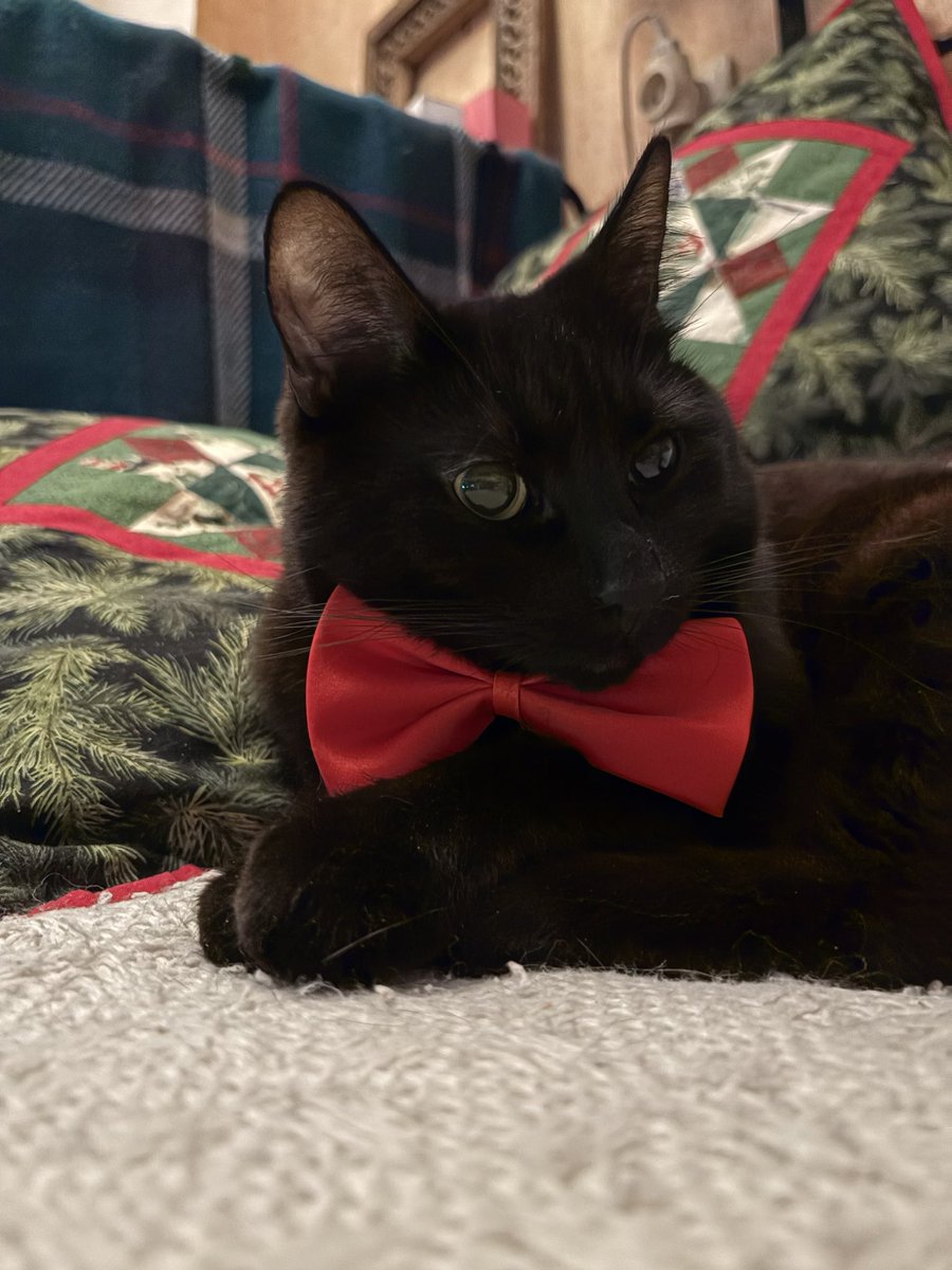 Happy New Year 🎆 
Пусть все наши тревоги унесут в Гаагу единороги 💙🙏🏻