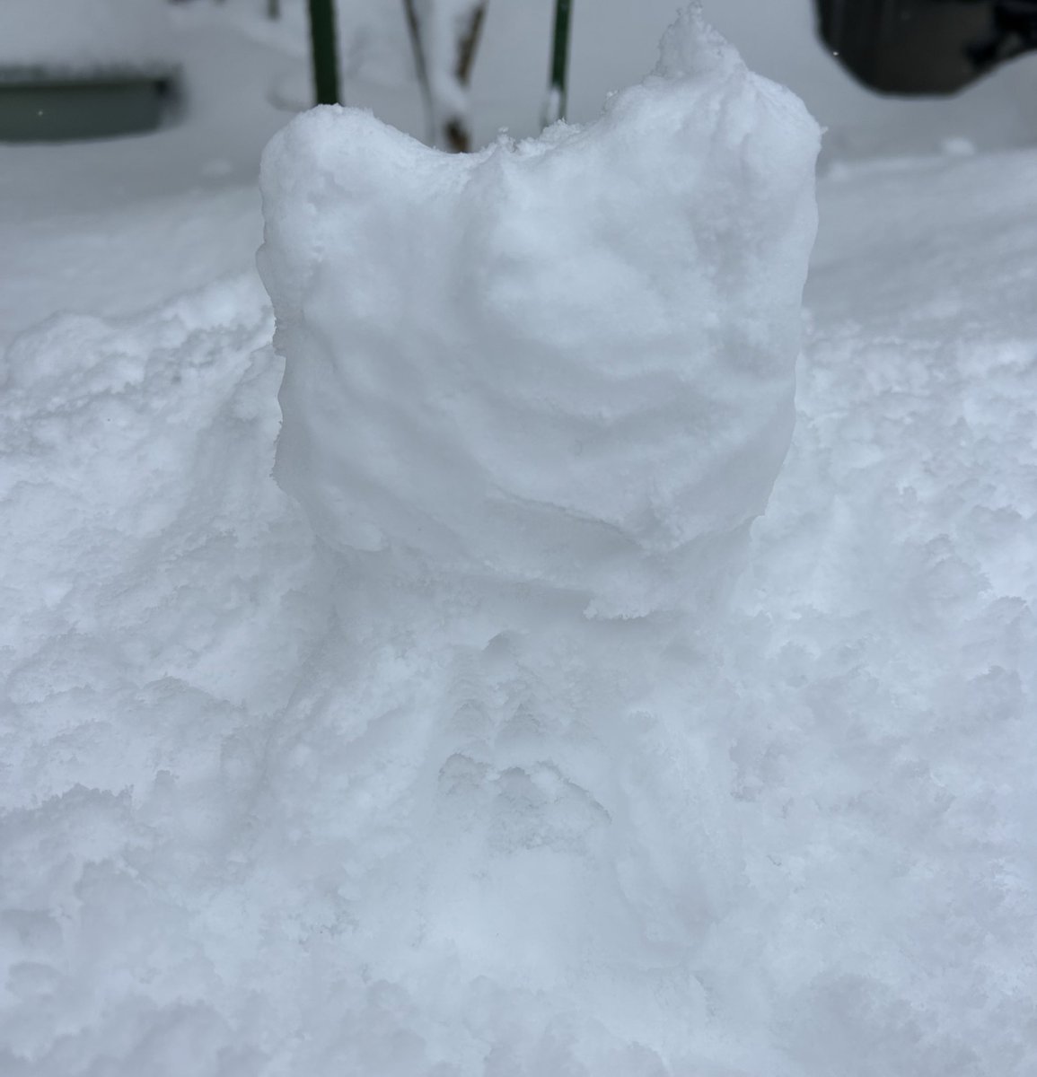 こ、これは……！！！！ ばばねこ3490725号…！！！！