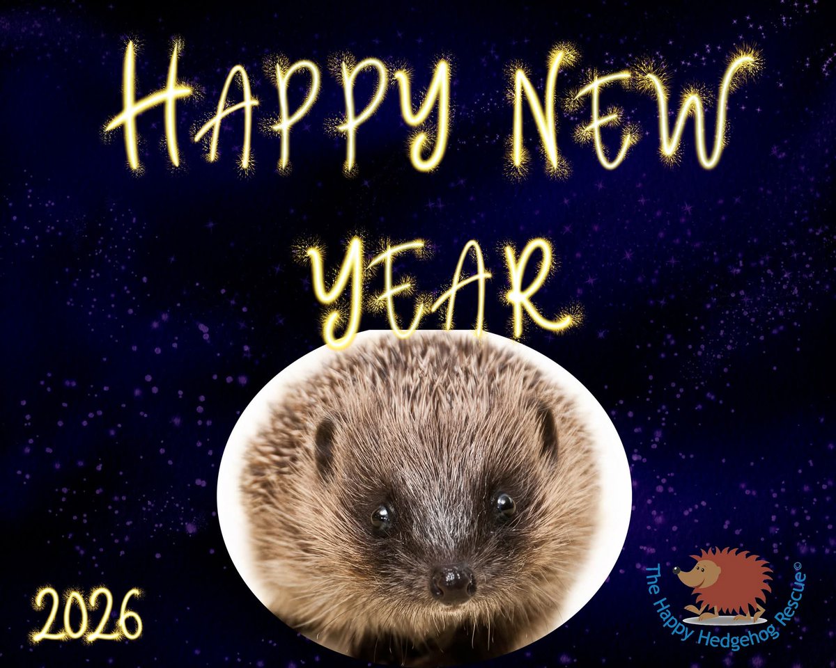 Blwyddyn Newydd Dda to all our supporters and Hogified folk!