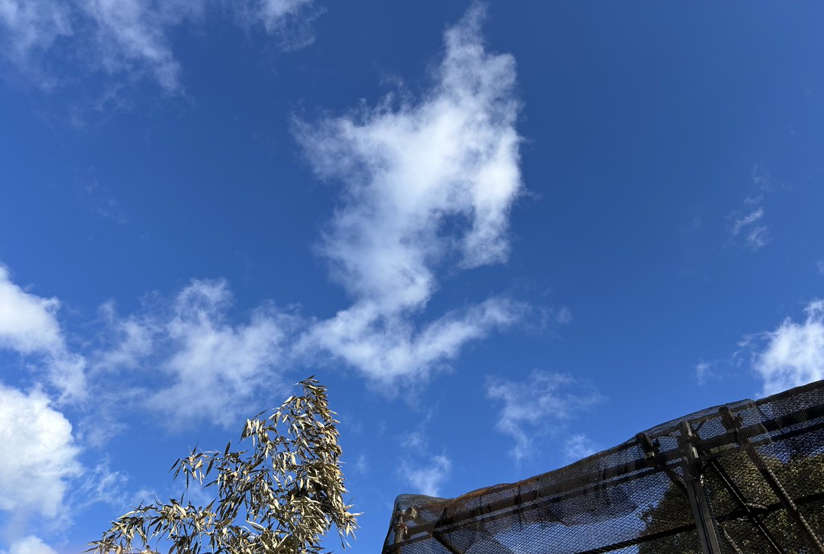 Jun_Jun719v's tweet photo. おはようございます！！

新年は地元にて過ごしておりますが、
良い天気で晴れやかな気分で迎えられております！

今年一年も、良い年になりますように！ https://t.co/q06aEHjAad