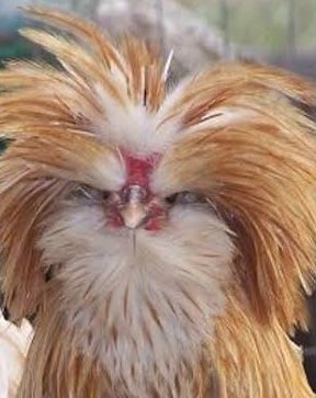 RTKyxw's tweet image. Hny น้าาน้องอันอัน หายป่วยไวไว ตื่นมาอีกทีขอให้สดชื่นแจ่มใสจ้า นอนพักผ่อนเยอะๆ 

 #สวัสดีปีใหม่หยิ่นวอร์ #yinyin_anw