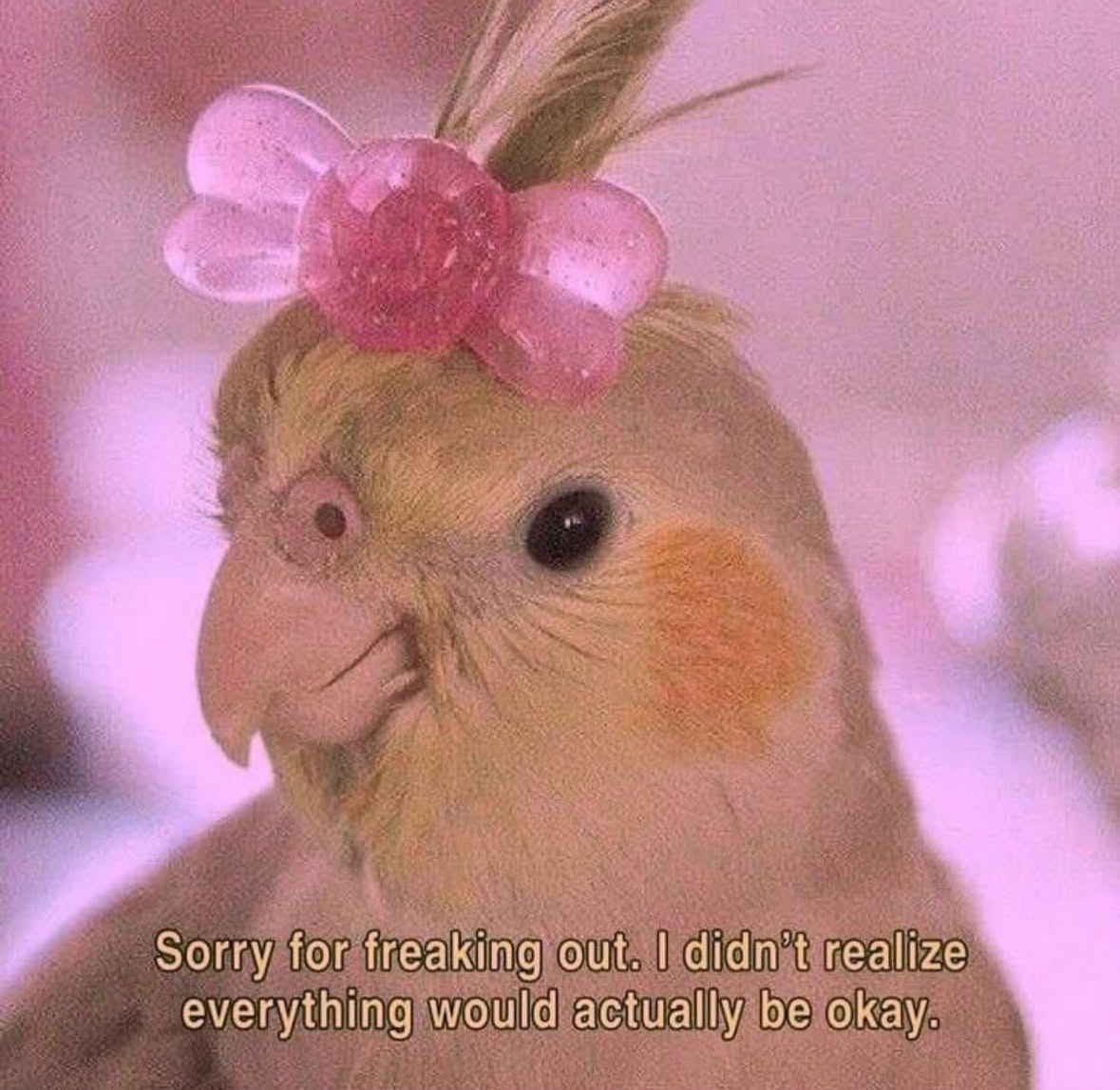 RespectfulMemes's tweet photo. https://t.co/vYQXSYI2iB