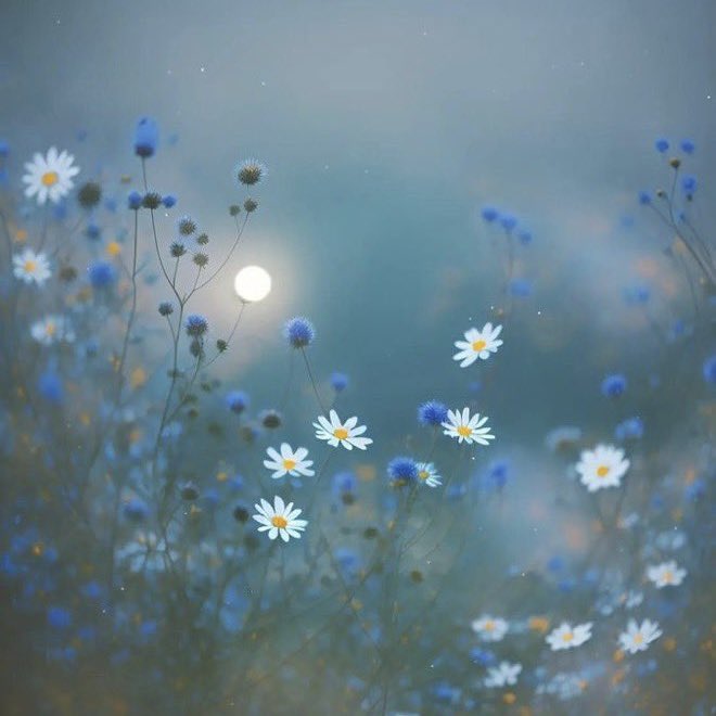 RoseW1530452's tweet image. •
—————— 🌱🪻🌱🪻

“Literature is the most agreeable way of ignoring life.”
     🖋️Fernando Pessoa 

—————————— 🌱🪻🌱🪻
•
     ©️leoni