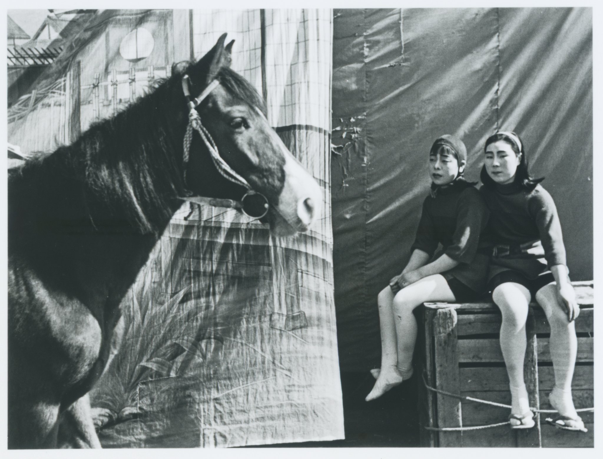 東京国立近代美術館 MOMAT على X: 