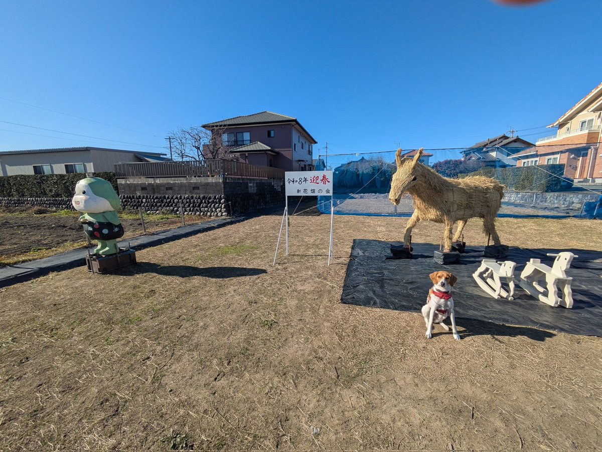 今年もよろしくです。