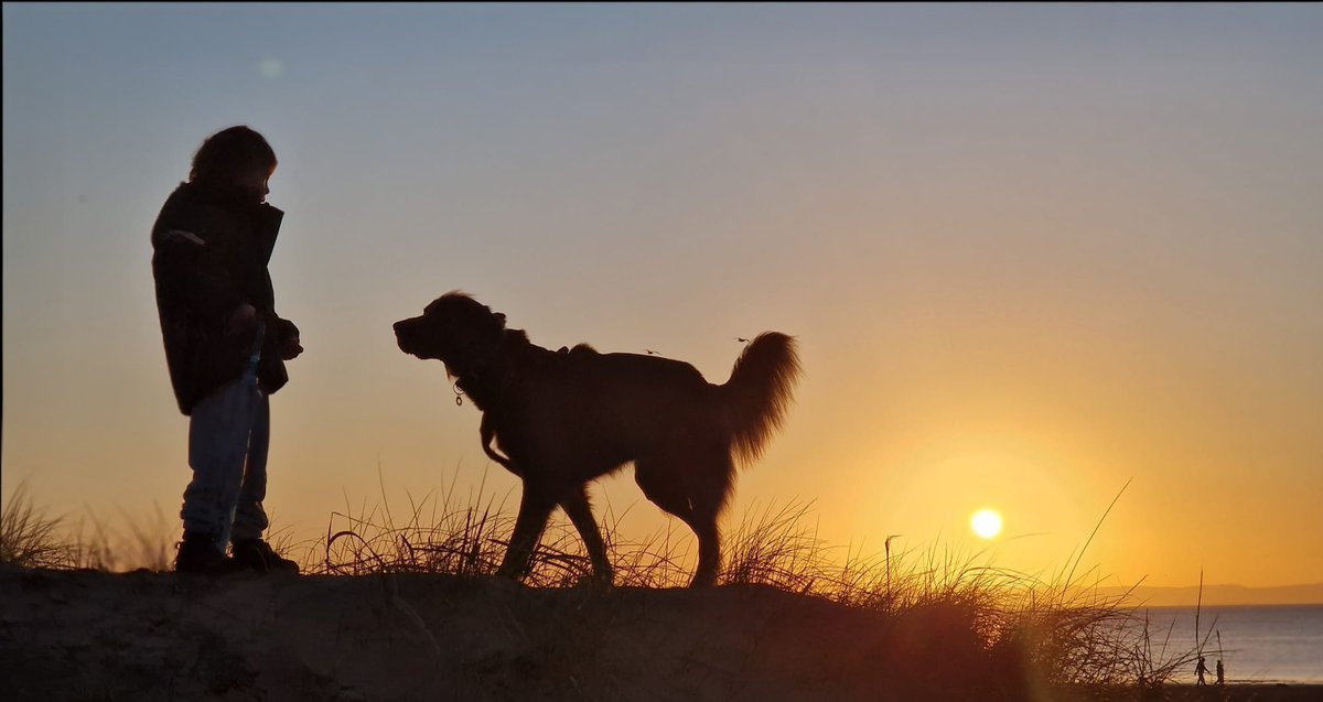Tony Schumacher tweet media